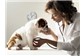 Consulta Veterinária na Cidade dos Funcionários 
