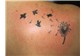 Feminina Tattoo